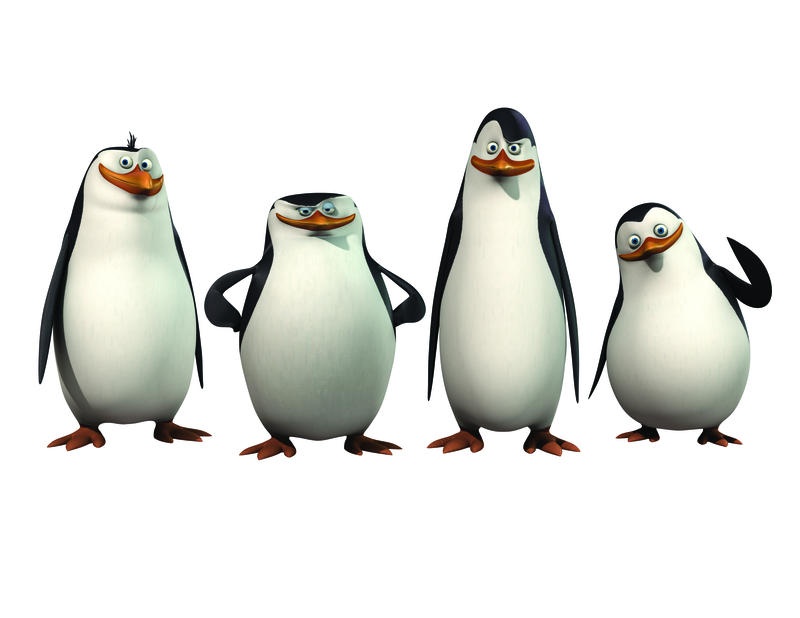 Galerie Les Pingouins de Madagascar