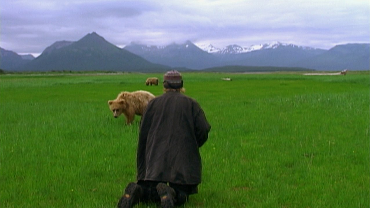 Galerie Grizzly Man 6